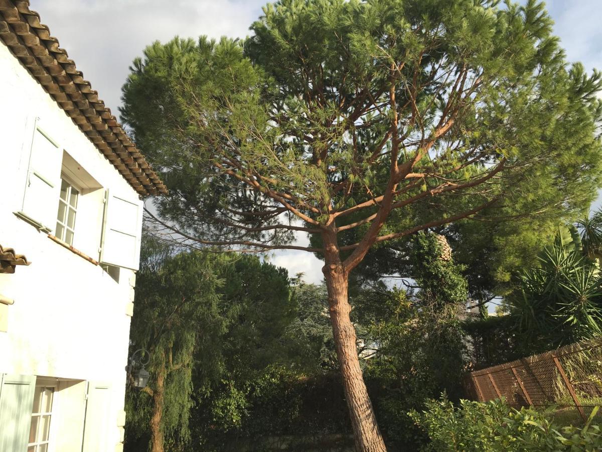 Villa Alessia Antibes Luaran gambar