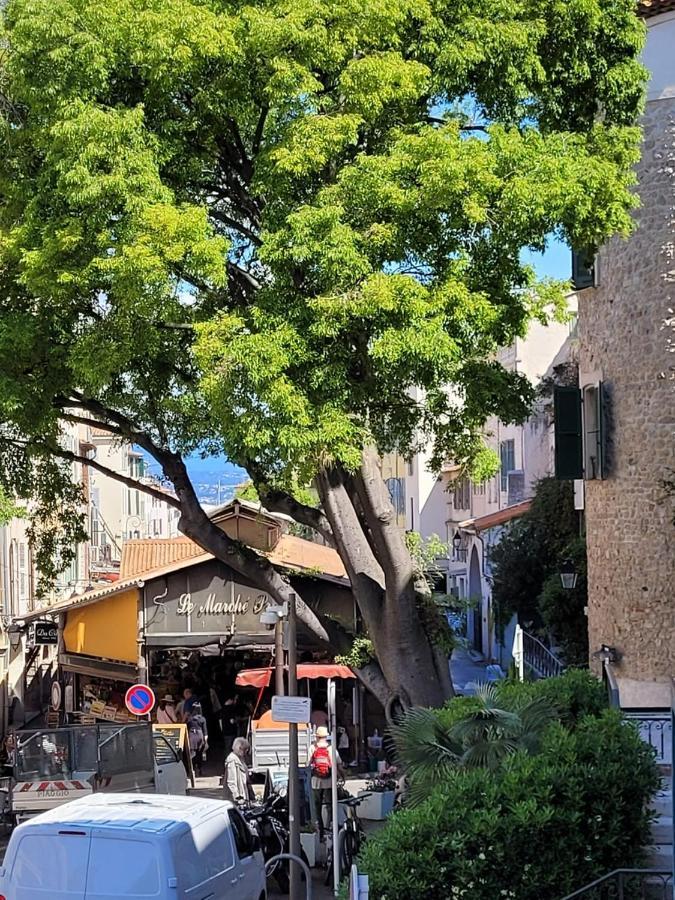 Villa Alessia Antibes Luaran gambar