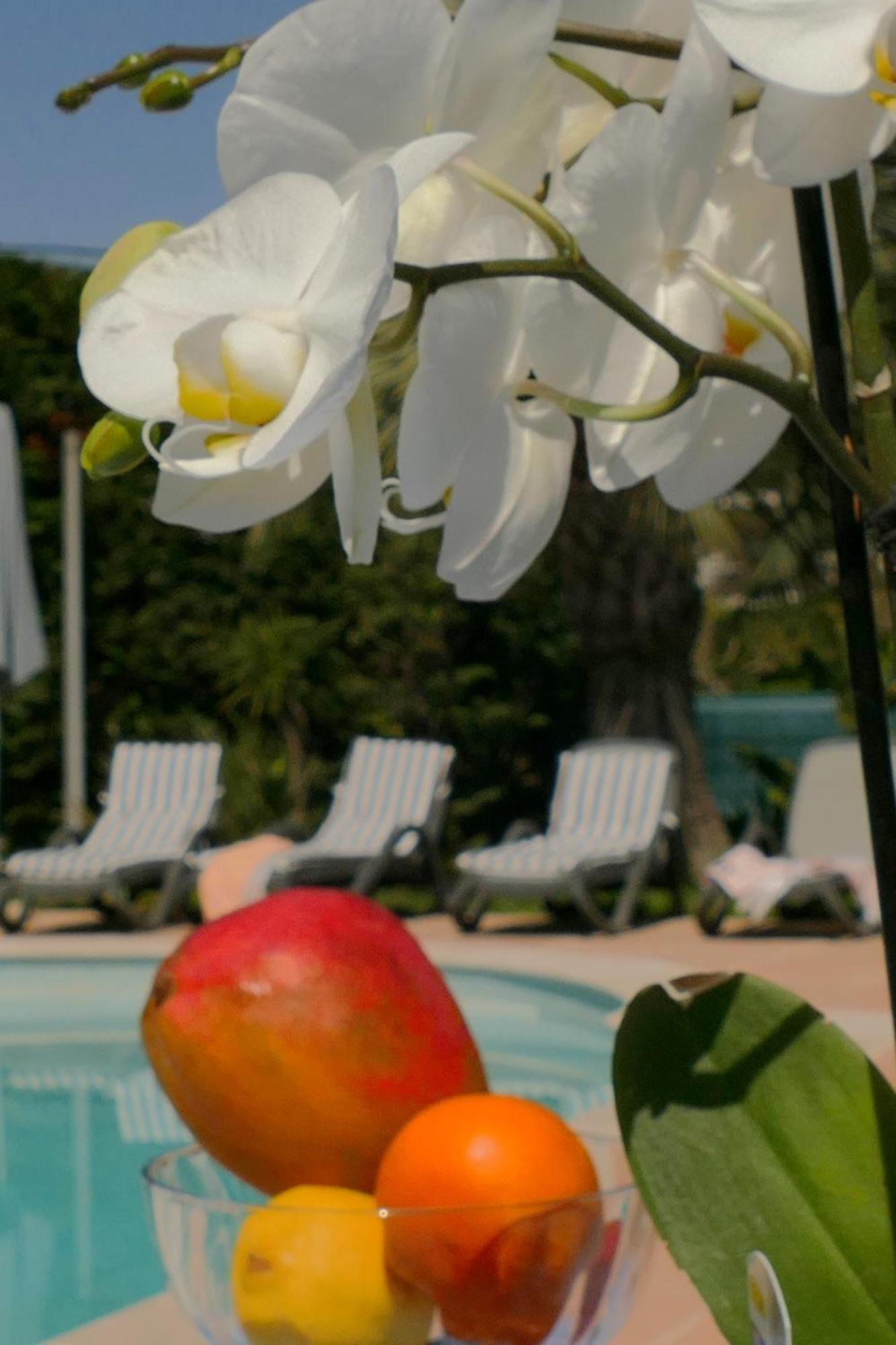 Villa Alessia Antibes Luaran gambar