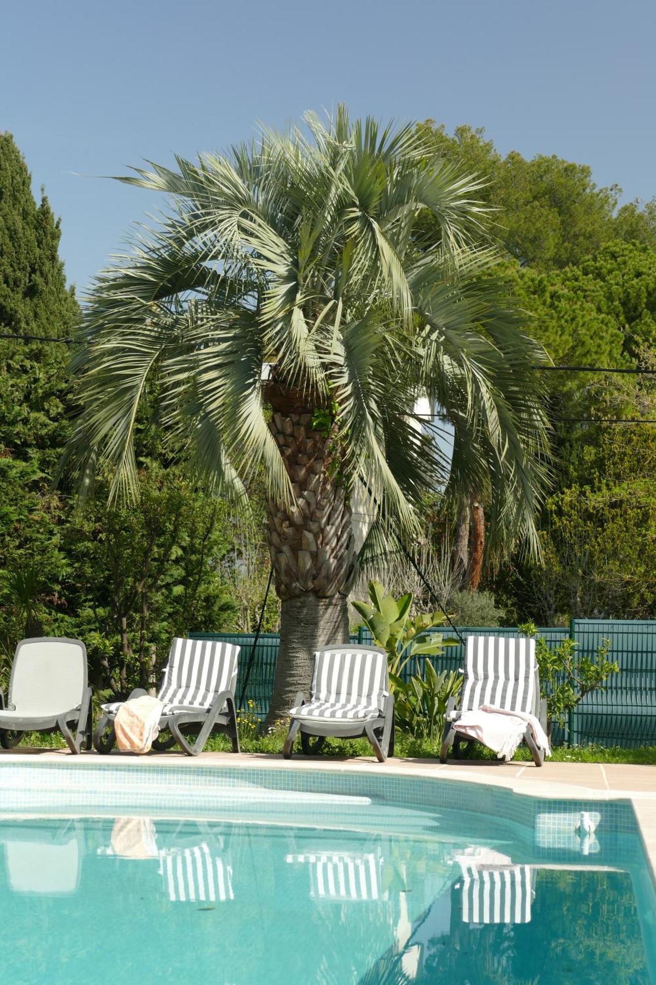 Villa Alessia Antibes Luaran gambar