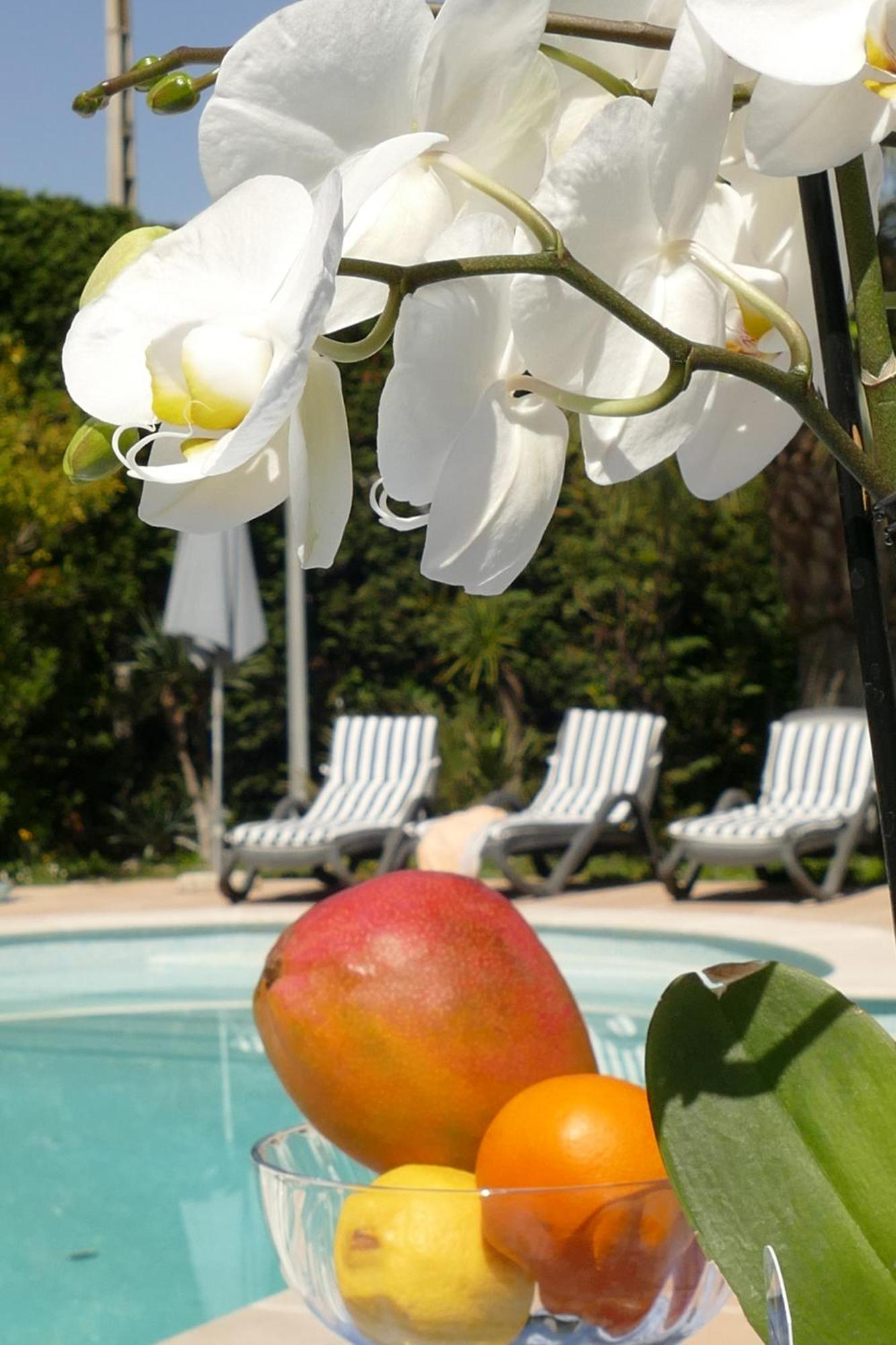 Villa Alessia Antibes Luaran gambar